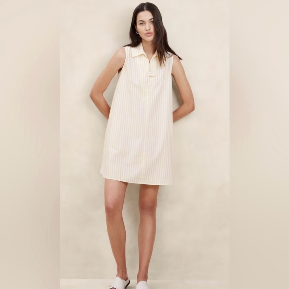 Banana Republic Stripe Dress